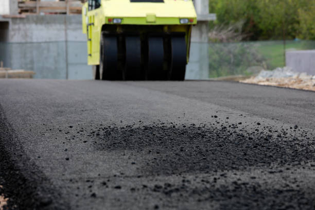 Best Custom Driveway Pavers  in Victoria, MN